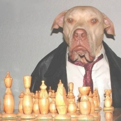 Кристина Колечкина, 15.07