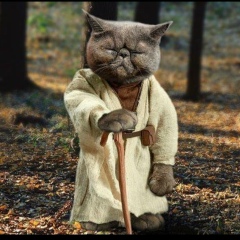 Сергей Комисаренко