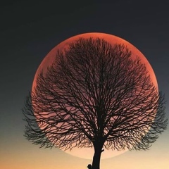 Джамиля Гиляхова, 20.07.1992, Нальчик