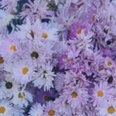 Марина Загорская, 11.03, Санкт-Петербург