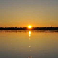 Алексей Червяков, 29.02.1988, Надым
