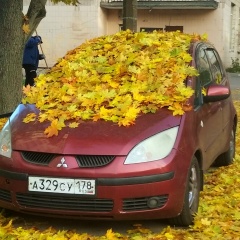Наталия Русецкая, 01.01.1968, Санкт-Петербург