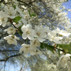 Татьяна Макарова, 12.12.1976, Минск