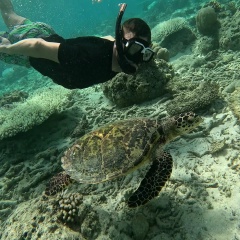 Артём Павлов, 08.08.1988, Umm al-Quwain