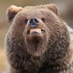 Дзирт До'Урден, 24.07.1987, Екатеринбург