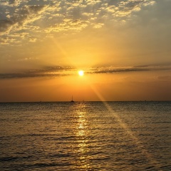 Аня Черепанова, Москва