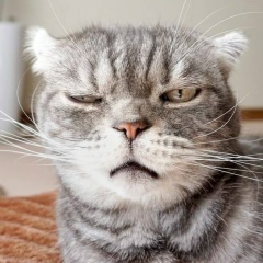 Виталий Пархоменко, 13.12, Ростов-на-Дону