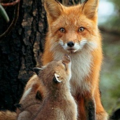 Светлана Иванова, 22.03, Санкт-Петербург