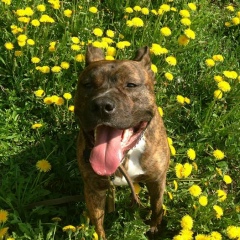 Юлия Косырева, 21.09, Москва