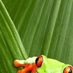 Гоша Потуренко, 29.09.1987, Санкт-Петербург