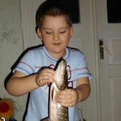 Станислав Россоха, 08.01, Гуляйполе