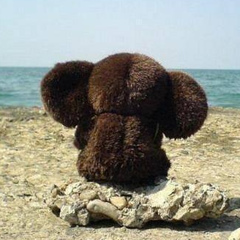 Ирина Волынская, 31.12.1973, Одесса