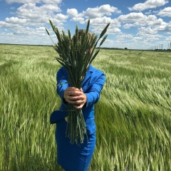 Светлана Тапилина, 27.09, Москва