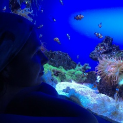 Катерина Шумская, 17.05.1975, Петрозаводск