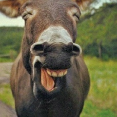 Евгений Кучкин, 09.02.1987, Москва