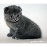 Даша Безрукова, 06.11, Красноярск