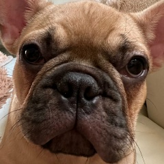 Евгений Кошлаков, 10.07.1965