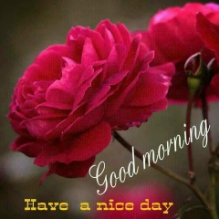 Moe Ko-Ko, 24.09.1964, Yangon