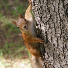 Анна Шишенина, 06.01.1983, Санкт-Петербург