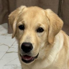 Александр , 29.11.1990, Казань