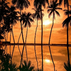 Диана Широкова, 16.02.1987