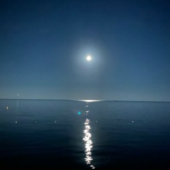 Саня Ветров, 13.04.1925, Москва