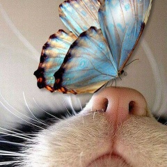 Ольга Ольгина, 14.12, Москва