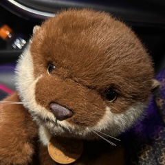 Татьяна Торопова, 27.10, Москва