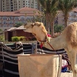 Роман Луговой, 20.04, Архангельск