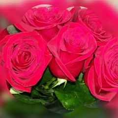 Жазира Ардыбаева, 03.12.1984, Астана