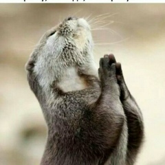 Наталья Цыганова, 05.01.1982, Учалы