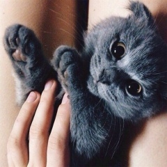 Gulnaz Tairbergenova, 16.12, Астана