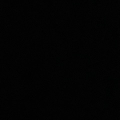 Aaaaa Aaaa, Барнаул