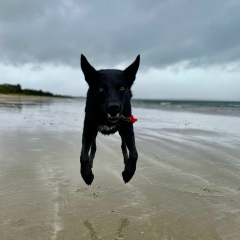Александра Петрова, 17.07.1989