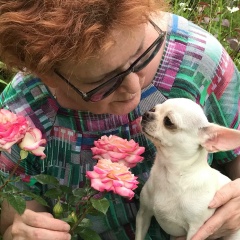 Светлана Силина, Пермь