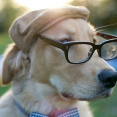 Вадим Клочков, 15.12, Victoria