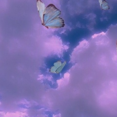 Диана Васина, 19.04