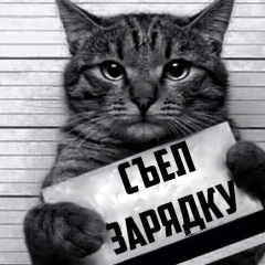 Дмитрий Владимирович, 31.01, Пенза