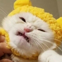 Алмаз Шарипов, 03.06.1989, Алматы