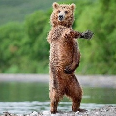 Андрей Пухаев, 31.12.2005