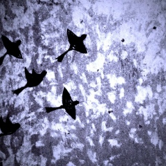 Сергей Странный