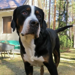 Анастасия Вохминцева-Векшина, 14.10.1981, Санкт-Петербург