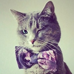 Елена Николаенко, 23.10, Киев