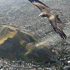 Akzhol Kochkorov, 19.01.1990