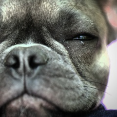 Геннадий Ефимов, 22.03, Москва