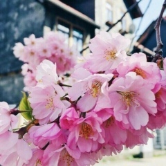 Гулсим Джетбисбаева, 08.03.1995, Актау