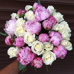 Альма Бумажная, 17.03.1982, Алматы