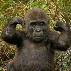 Максим Коробков, 24.08, Санкт-Петербург