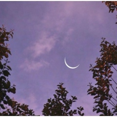 Асланбек Теуников, 11.10