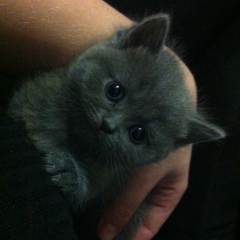 Ольга Гулий, 10.04.1985, Копейск